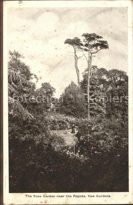 London Rose Garden near the Pagoda Kew Gardens