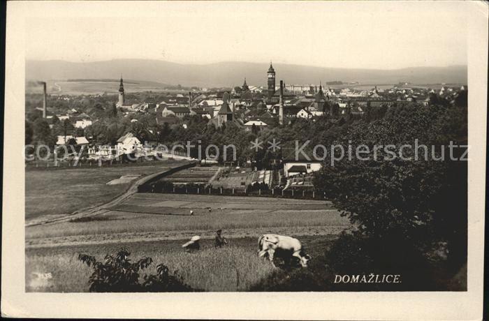 Domazlice Panorama Kuh