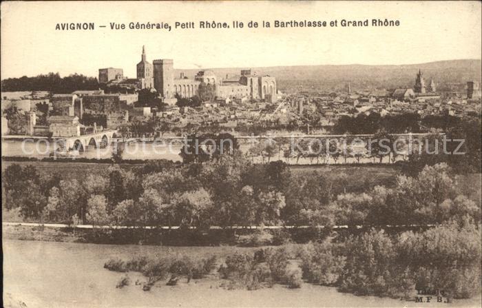 Avignon Vaucluse Vue generale Petit Rhone Ile de la Bart