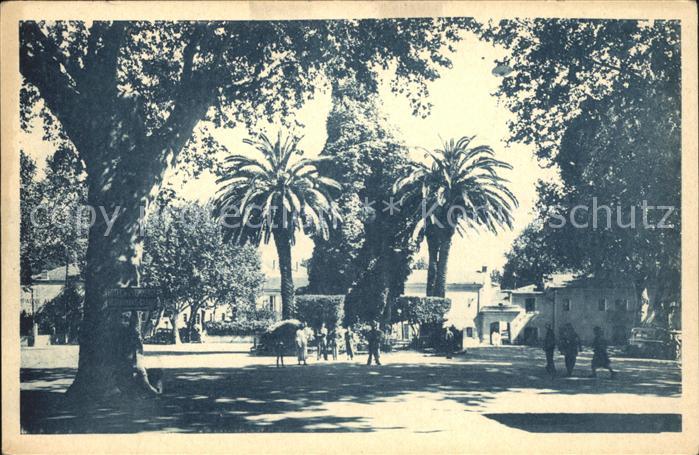 Miliana Place et l_Horloge Monumentale Palmier