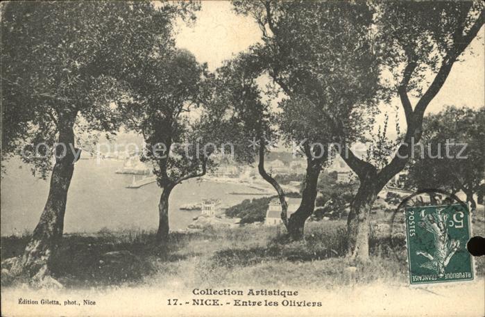 Nice Alpes Maritimes Entre les Oliviers