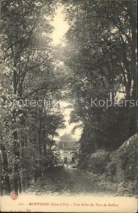 Montbard Allee du Parc de Buffon