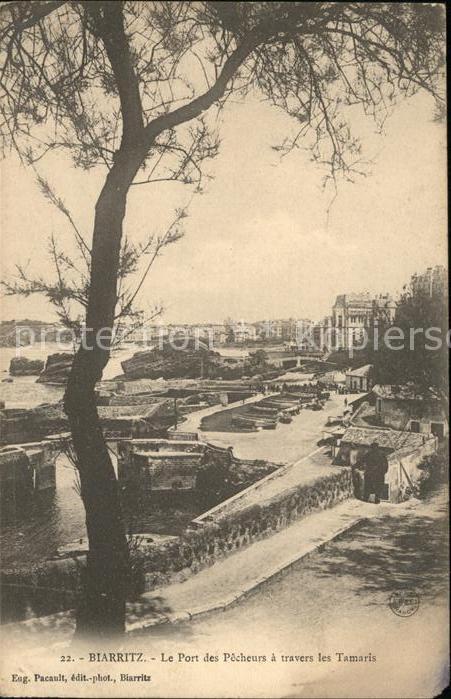 Biarritz Pyrenees Atlantiques Port des Pecheurs a travers les Tamaris