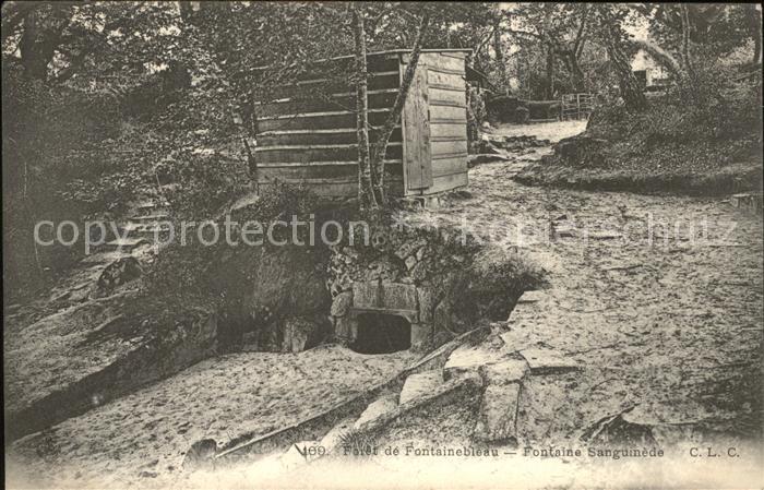 Fontainebleau Seine et Marne Foret de Fontainebleau Fontaine Sanguin