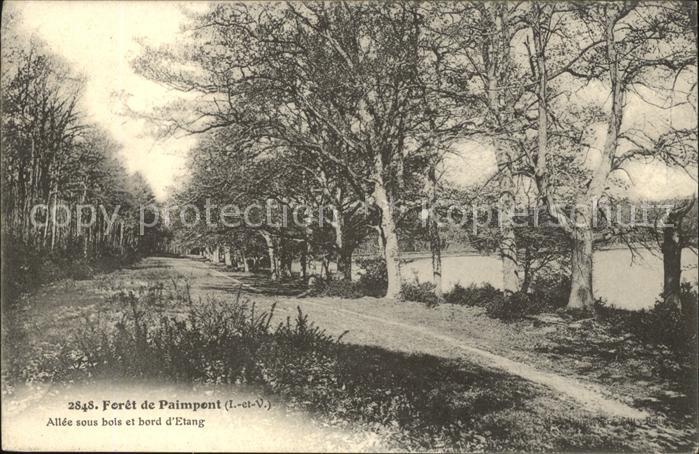 Paimpont Foret Allee sous bois et bord d_Etang