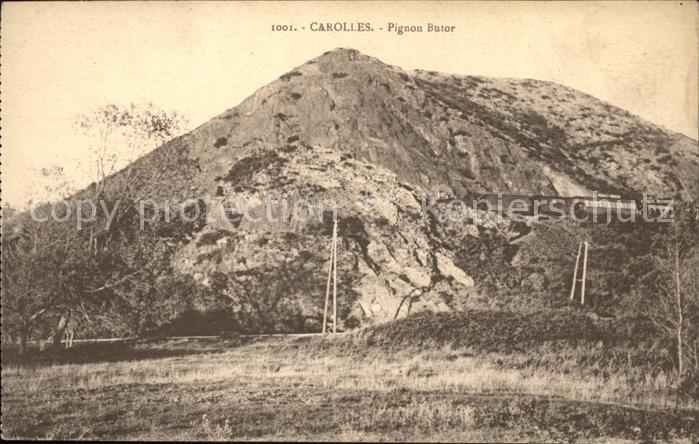 Carolles Pignon Butor Chemin de Fer