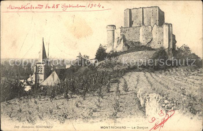 Montrichard Le Donjon Ruines Eglise