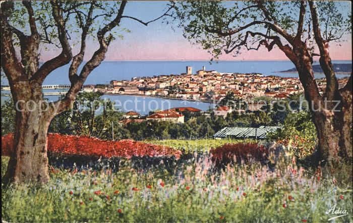 Antibes Alpes Maritimes Panorama vu a travers les Oliviers