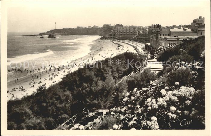 Biarritz Pyrenees Atlantiques Hortensias et la grande Plage