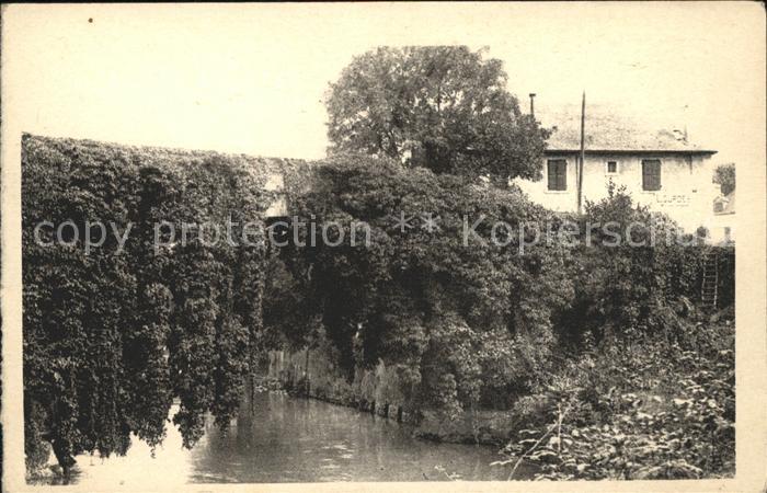 Betharram Pont de lierre