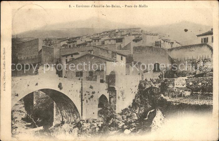 Prats de Mollo Vue generale