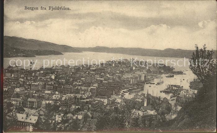 Bergen Norwegen fra Fjeldveien Panorama