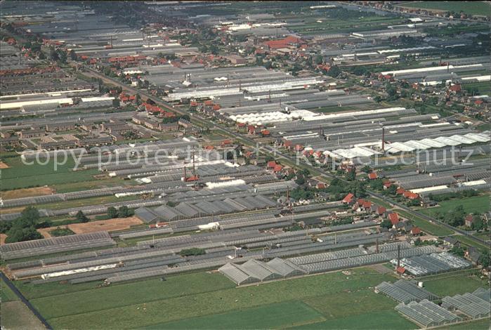 Aalsmeer Flower Market aerial view