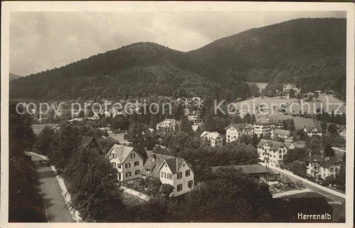 Bad Herrenalb Panorama