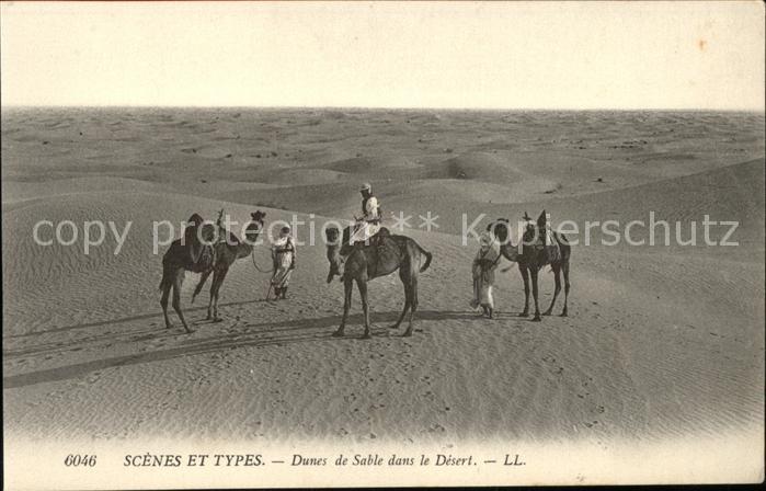 Kamel  Camel Chameau Typen Wüste Dunes de Sable Desert