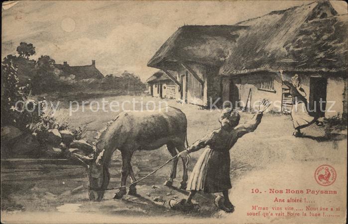 Esel Tiere Nos Bons Paysans