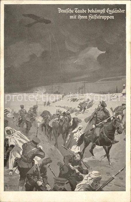 Verlag Deutscher Luftflottenverein Deutsche Taube England Pferd Kamel Soldaten K