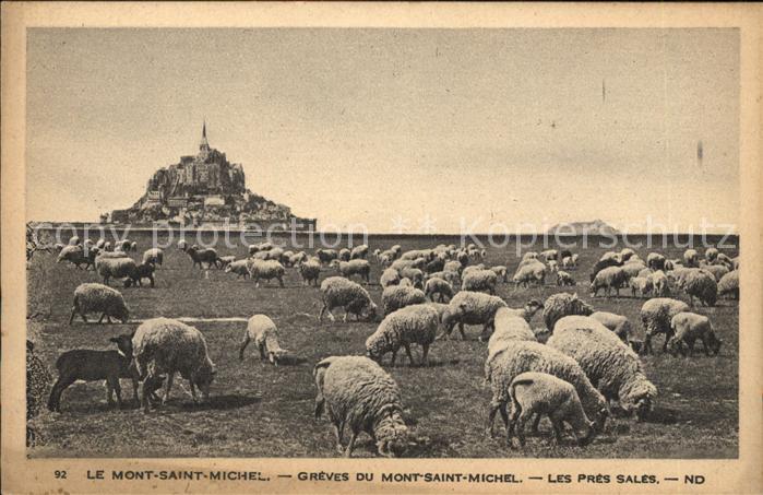 Schafe Mont-Saint-Michel Greves Pres Sales