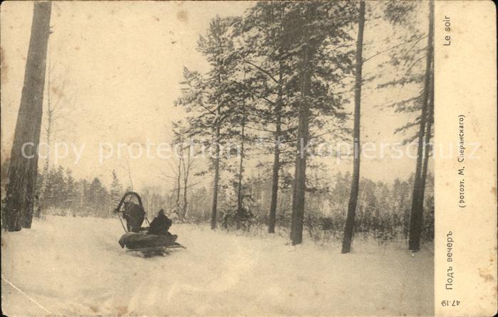 Pferde Pferdeschlitten Russland