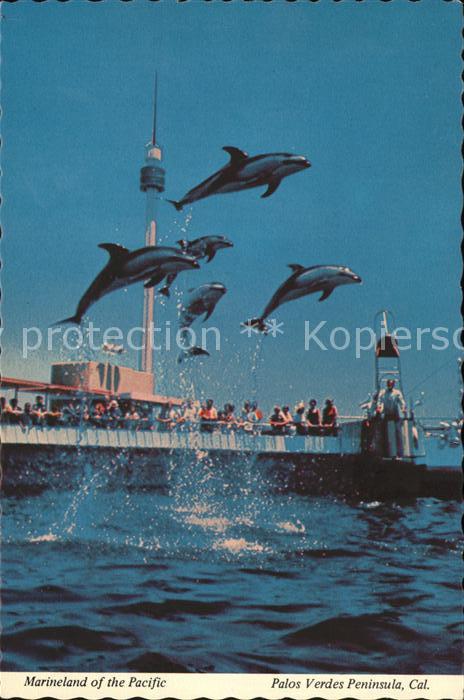 Delfine Delphine Dolphins Dauphins Delfines Marineland of the Pacific Palos Verd