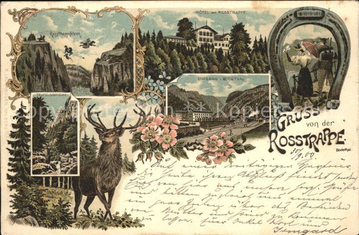 Thale Harz Rosstrappe Felsen Hotel Hufeisen Hirsch Bodetal Teufelsbruecke