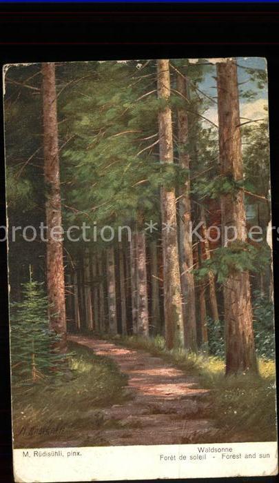 Ruedisuehli M. Waldsonne Nr. 966 Baeume Wald