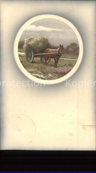 Pferde Pferdewagen Heu Landwirtschaft