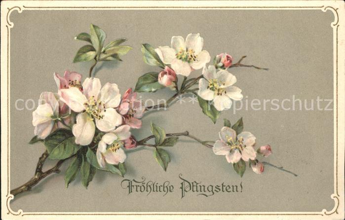 Pfingsten Pentecost Pentecote Blumen