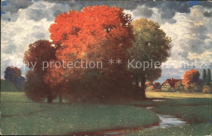 Kuenstlerkarte Rüdisühli Herbst Nr. 25/802 Baum