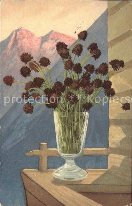 Verlag Photochromie Nr. 868 Serie 516 Alpenflora Blumen Vase