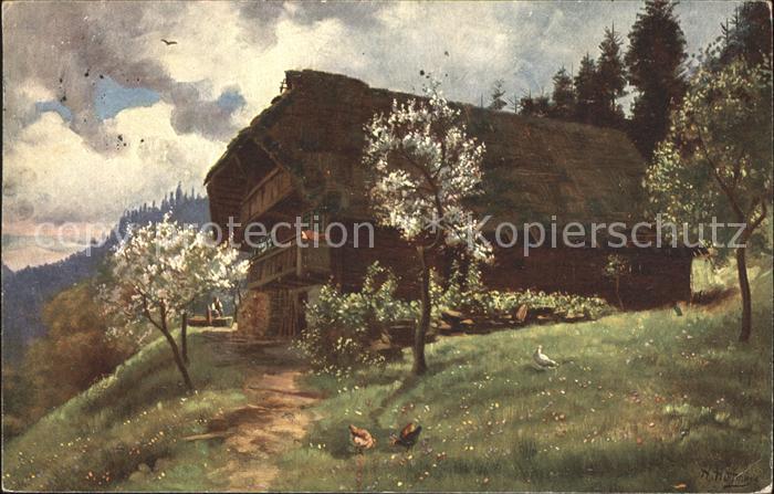 Hoffmann Heinrich Frühling im Schwarzwald Schwarzwaldhaus