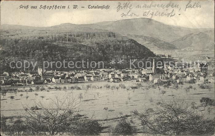 Schopfheim Totalansicht