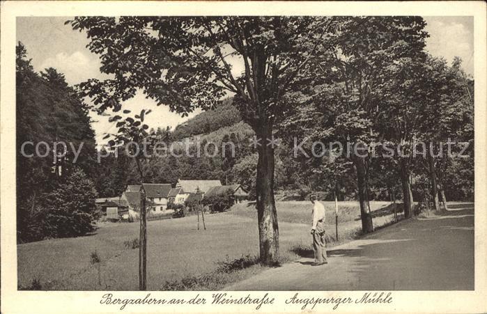 Bad Bergzabern Augspurger Muehle