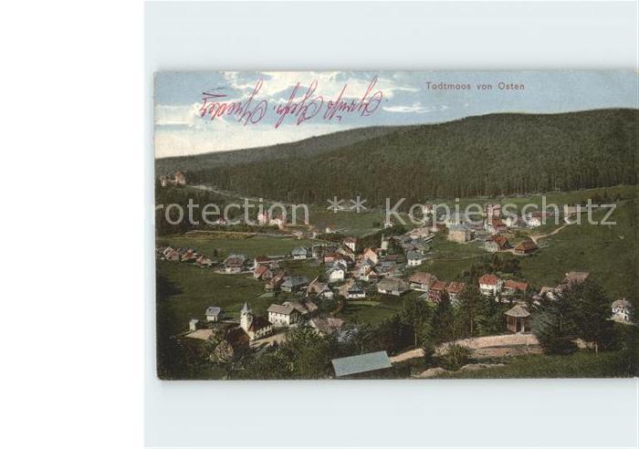 Todtmoos Schwarzwald BW Gesamtansicht