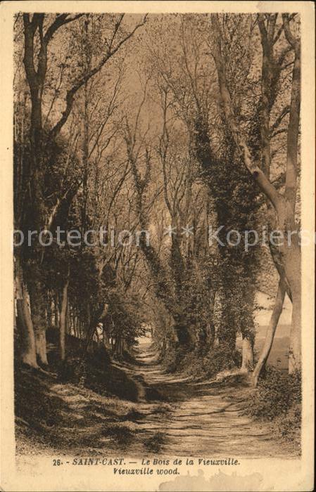 Saint-Cast-le-Guildo Le Bois de la Vieuxville