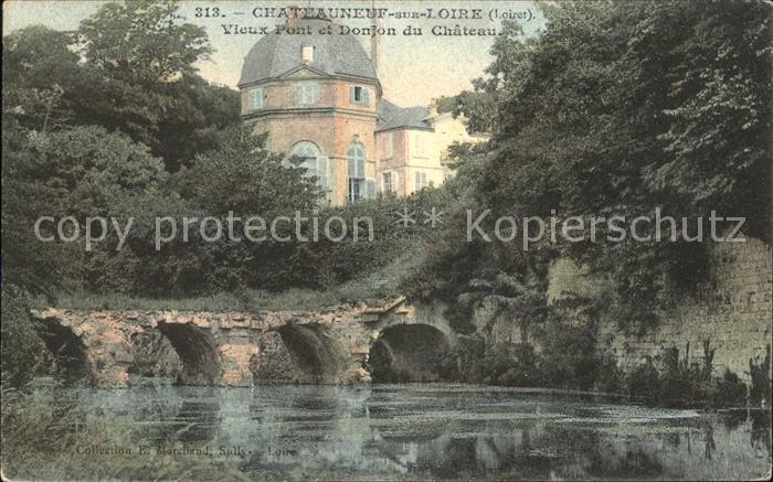 Chateauneuf-sur-Loire Vieux Pont et Donjon du Chateau