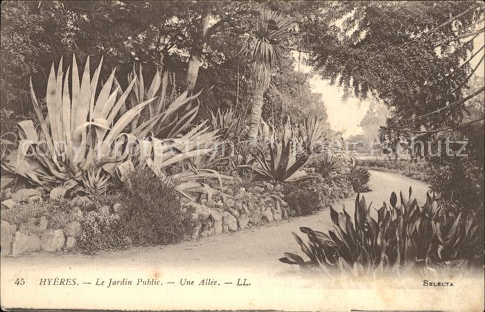 Hyeres Jardin Public une allee