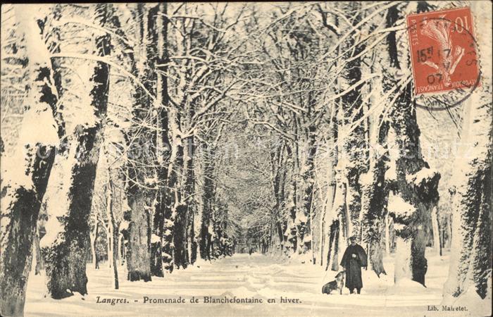 Langres Promenade de Blanchefontaine en hiver S