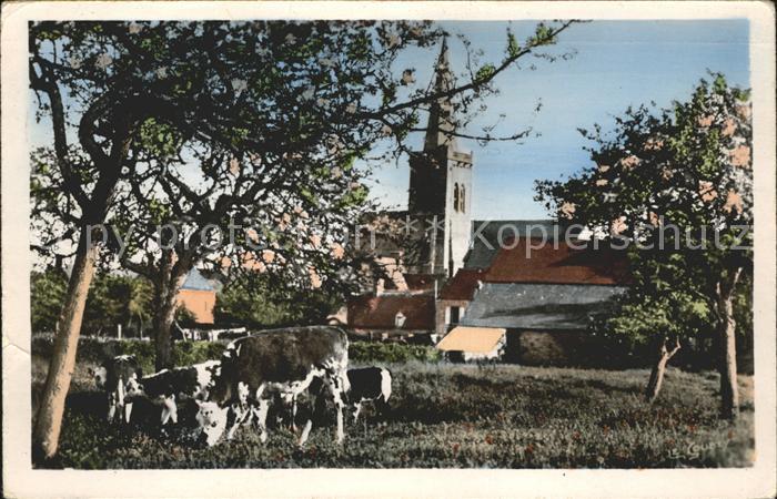 Normandie Region Sous les Pommiers Vaches Collection La