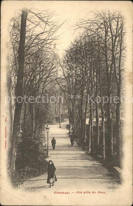 Cognac Charente Une allee du Parc