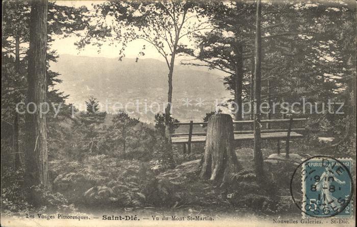 Saint-Die-des-Vosges Vue du Mont Saint Martin Stempel auf AK