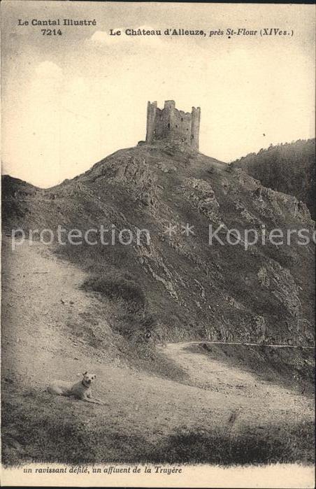 Alleuze Chateau Ruines Chien