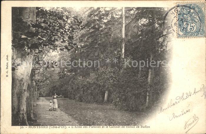 Montbard Allee des Platanes Cabinet de travail d