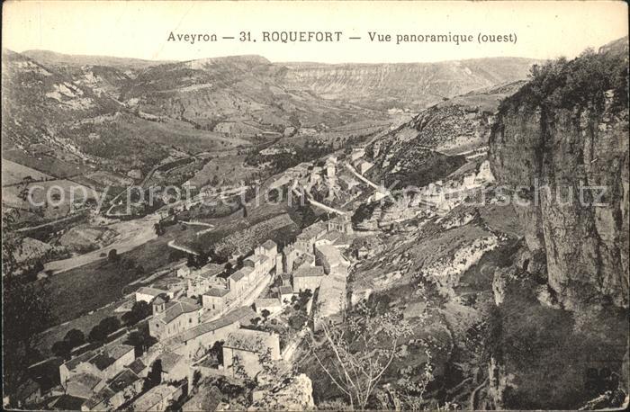 Roquefort-sur-Soulzon Vue panoramique