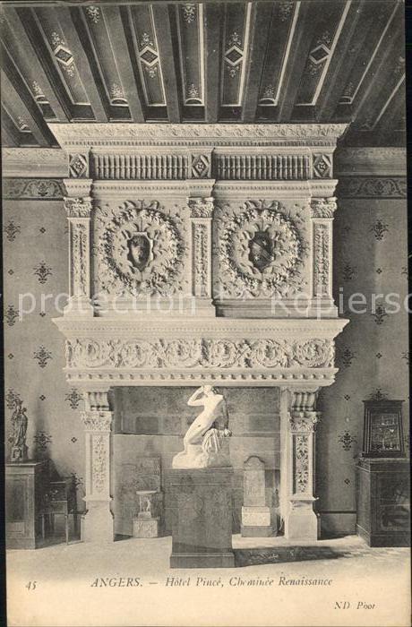 Angers Hotel Pince Cheminee Renaissance