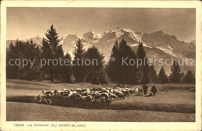 Schafe Herde Chaine du Mont-Blanc