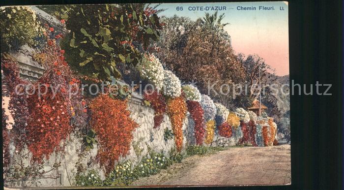 Blumen Cote d_Azur Chemin Fleuri