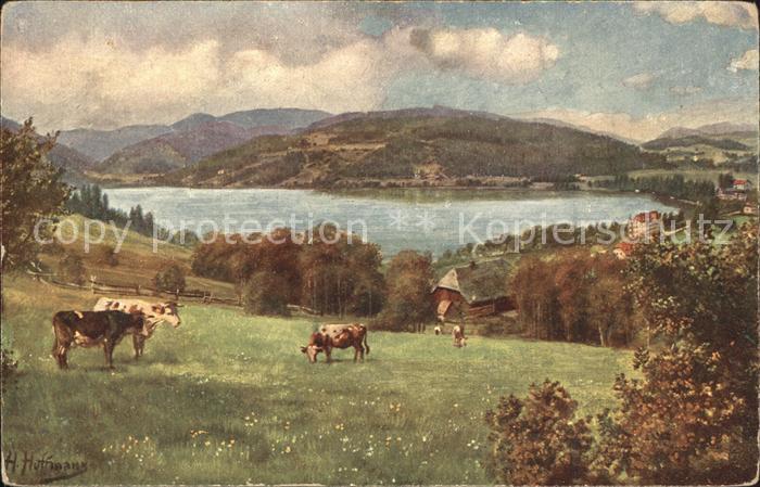 Hoffmann Heinrich Titisee mit Feldberg Nr. 201 Kuehe Weide