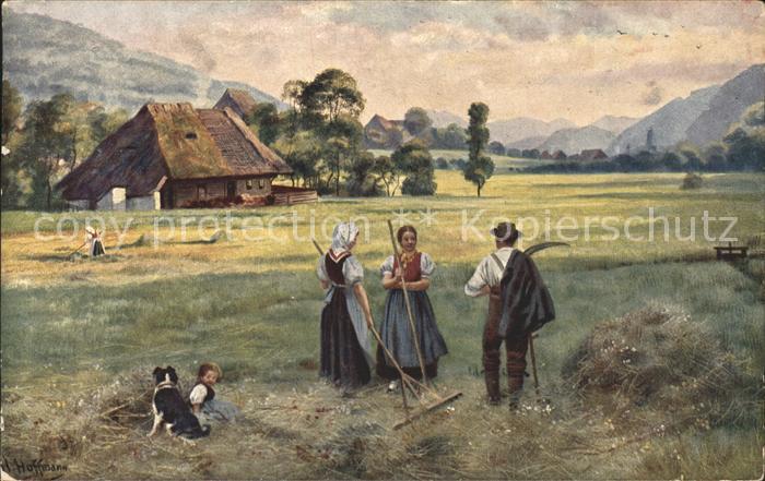 Hoffmann Heinrich Im Heu Prechttal Landwirtschaft Heurechen Sense
