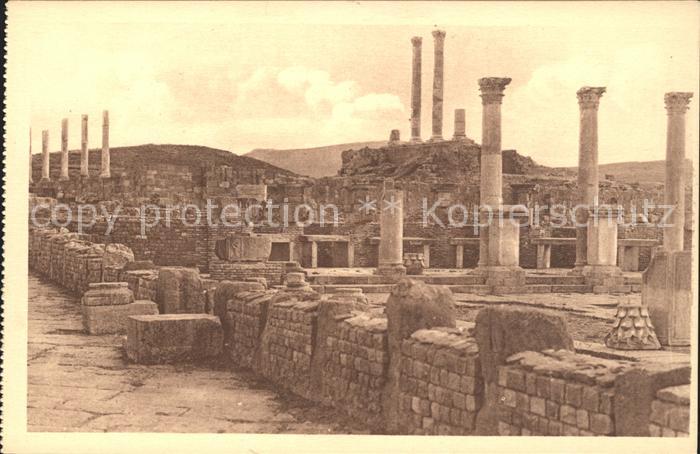 Timgad Ruines Romaines Colonnes du Promaos du Capitole Marche Antike Staette